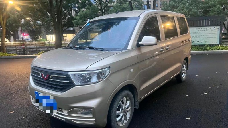 湖州20年五菱汽車宏光2