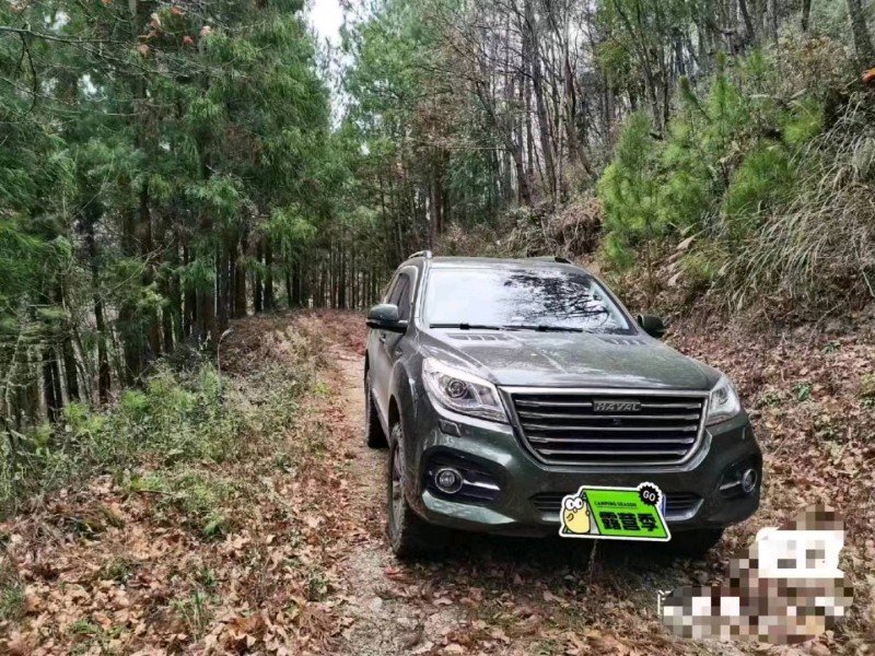 邯郸19年哈弗H91