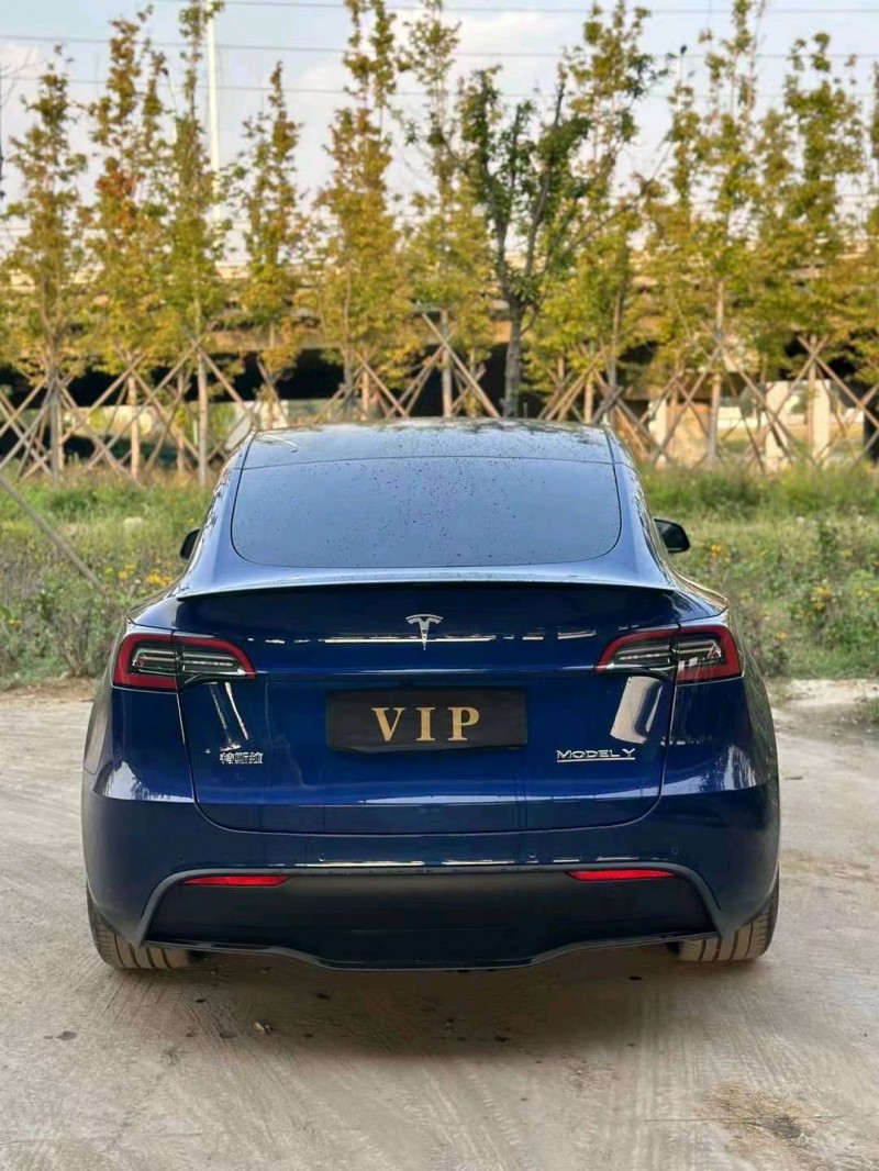棗莊22年特斯拉MODEL Y6