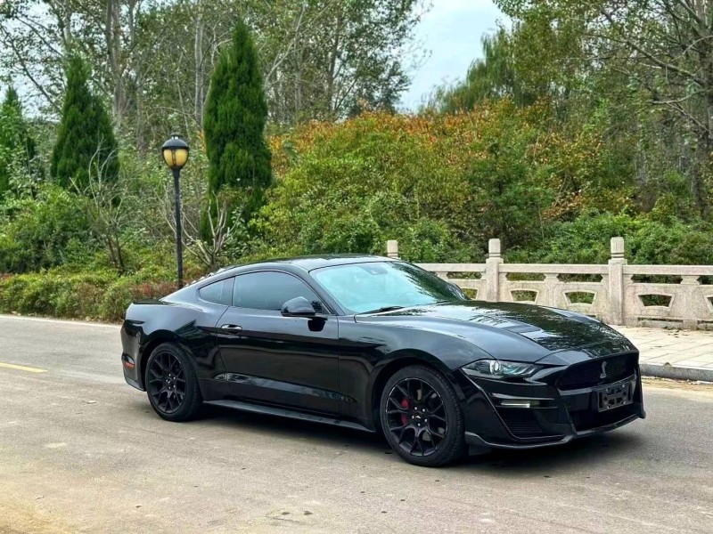 枣庄19年福特野马2