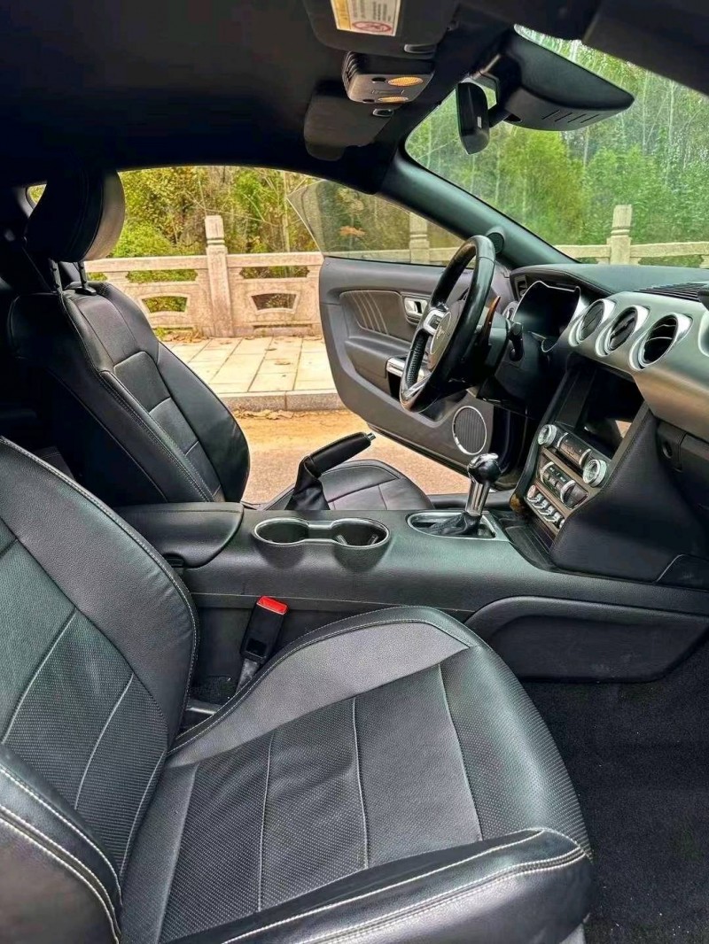 枣庄19年福特野马6