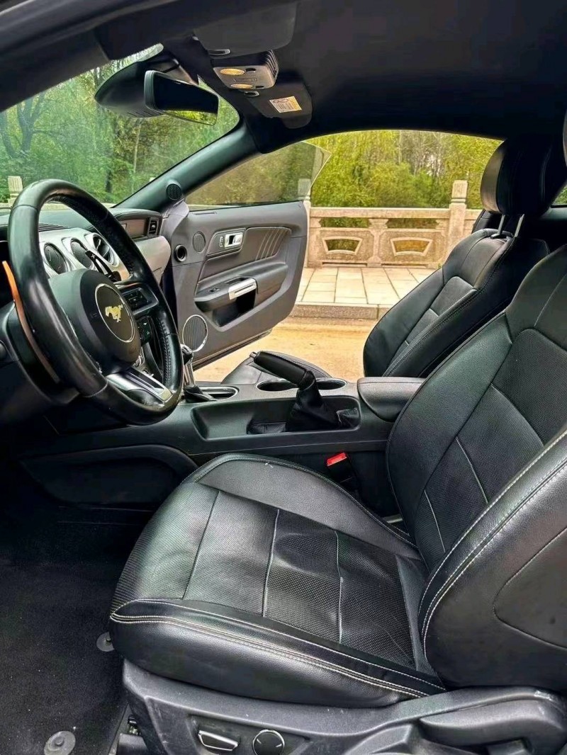 枣庄19年福特野马8