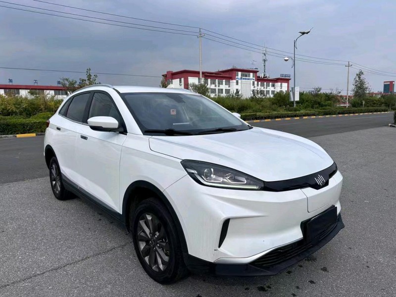 盐城21年威马汽车EX-53