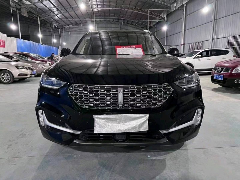 湘潭21年長城汽車WEY VV61
