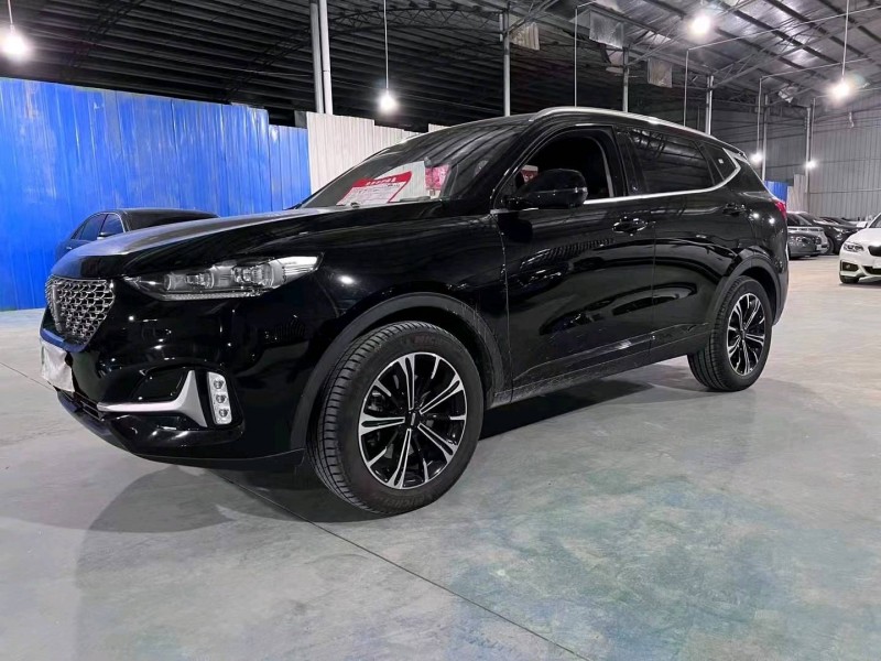湘潭21年長城汽車WEY VV65