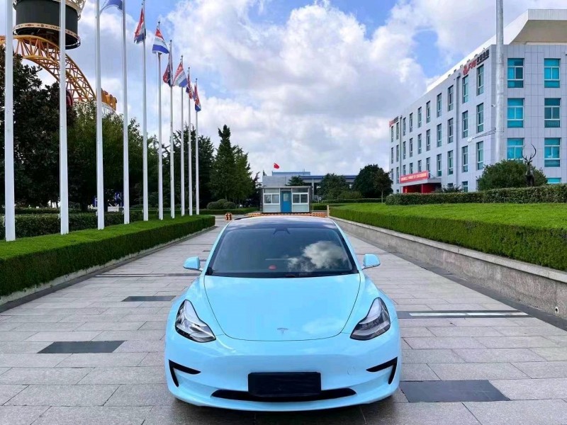 棗莊20年特斯拉MODEL 31
