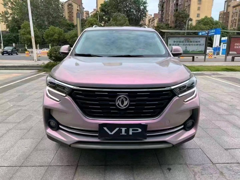 邵阳20年东风T51