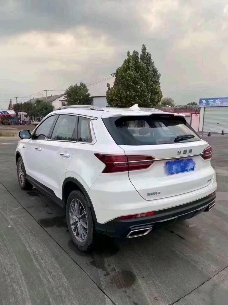 东营23年SWM斯威汽车G014