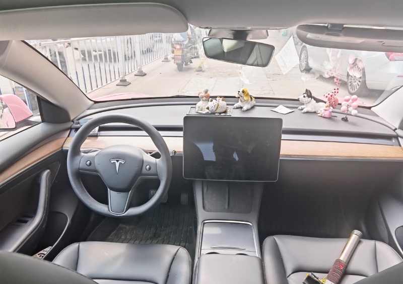 廣州22年特斯拉MODEL 36