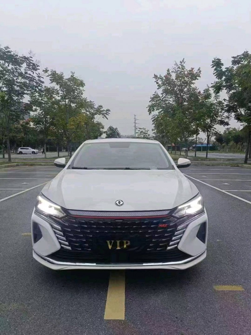 嘉兴22年东风奕炫1