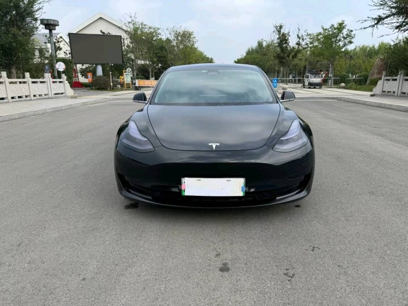 徐州20年特斯拉MODEL 31