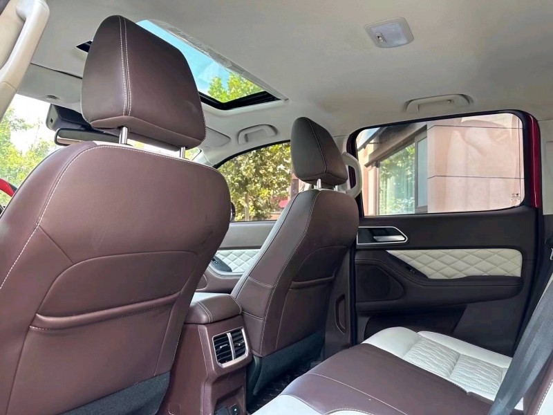 邯郸20年长城汽车炮 皮卡6