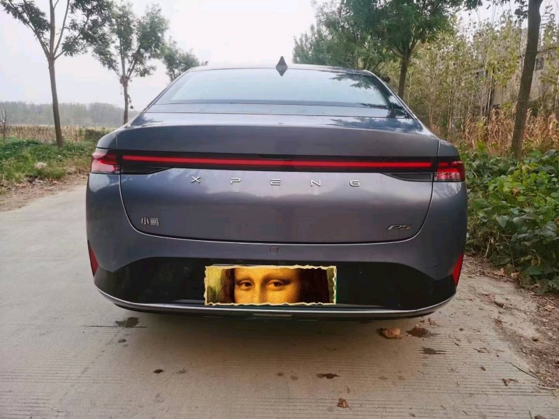 淄博23年小鵬汽車P53