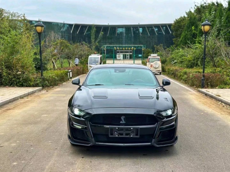 东营19年福特野马1