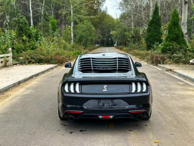 东营19年福特野马9