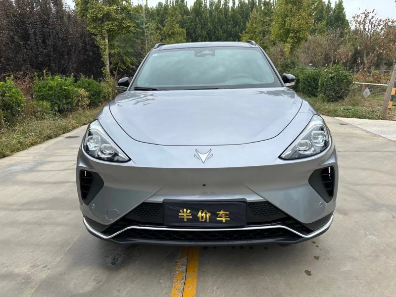 济宁23年极狐汽车阿尔法1