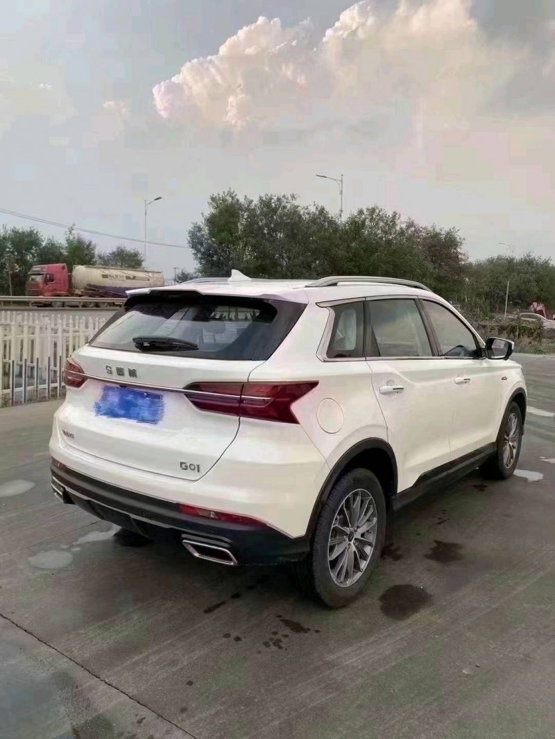 东营23年SWM斯威汽车G017