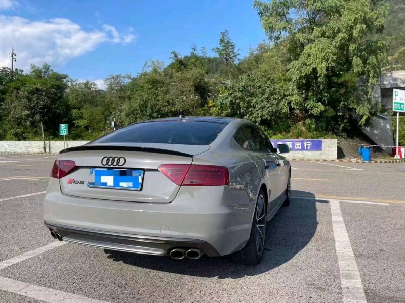 重庆14年奥迪S55