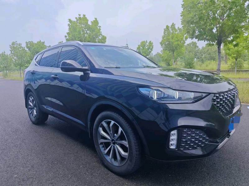 淄博20年长城汽车WEY VV63