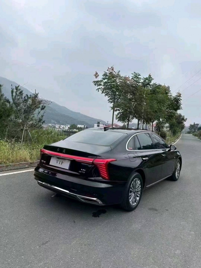 衡陽23年紅旗H55
