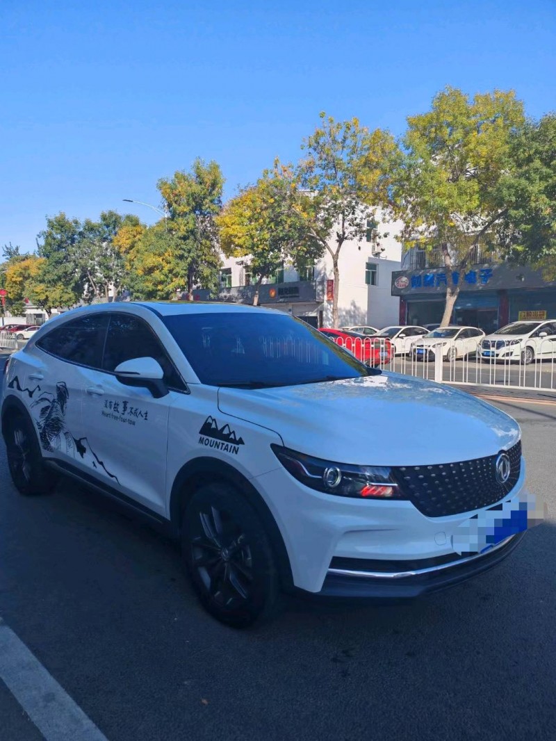 保定20年东风风光2