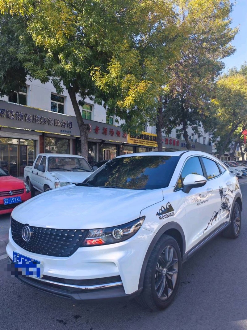 保定20年东风风光3