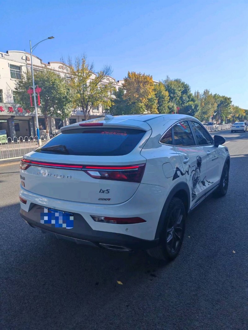 保定20年东风风光8