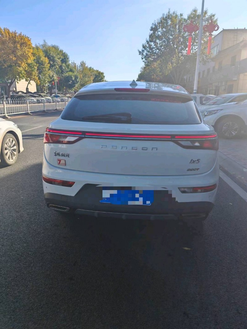 保定20年东风风光9