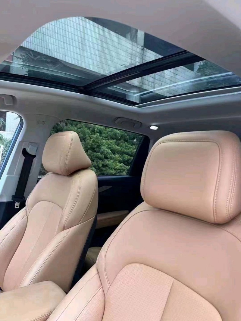 邯郸23年威马汽车W67