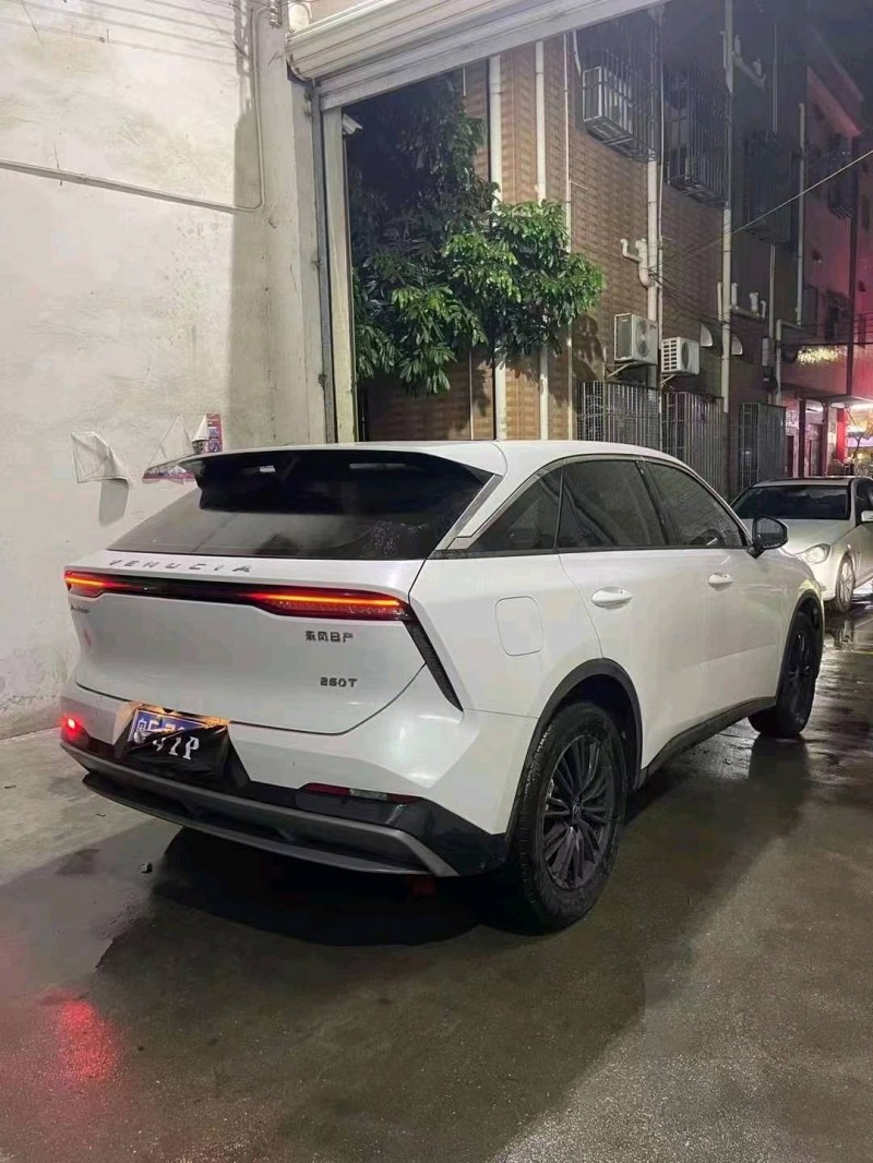 汕頭22年啟辰大V2