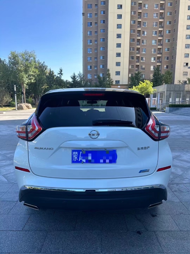 廊坊20年日产楼兰3