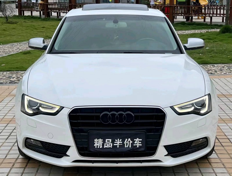 汕头14年奥迪A51