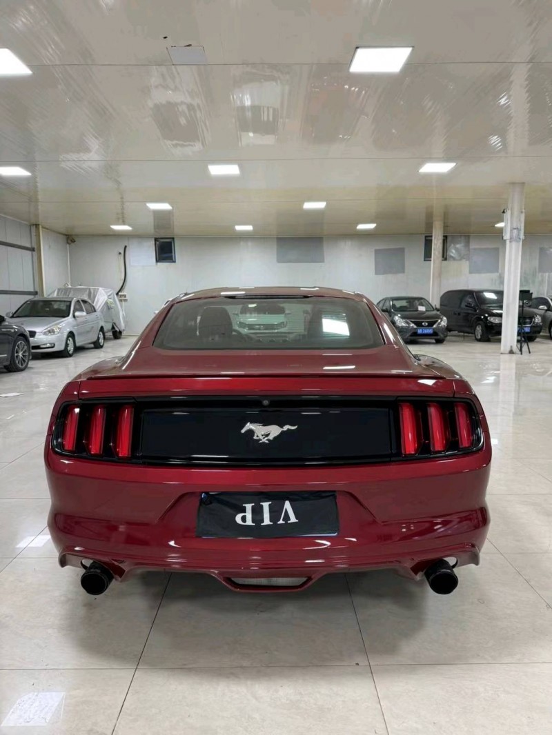 廊坊16年福特野马9