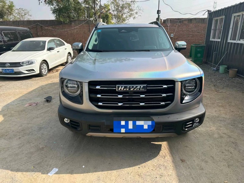 保定20年哈弗大狗1