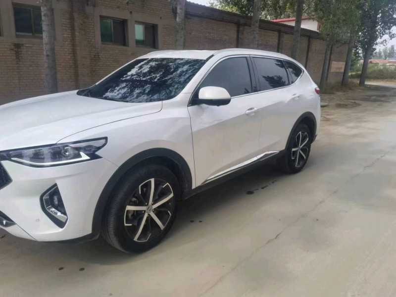 保定19年哈弗F73