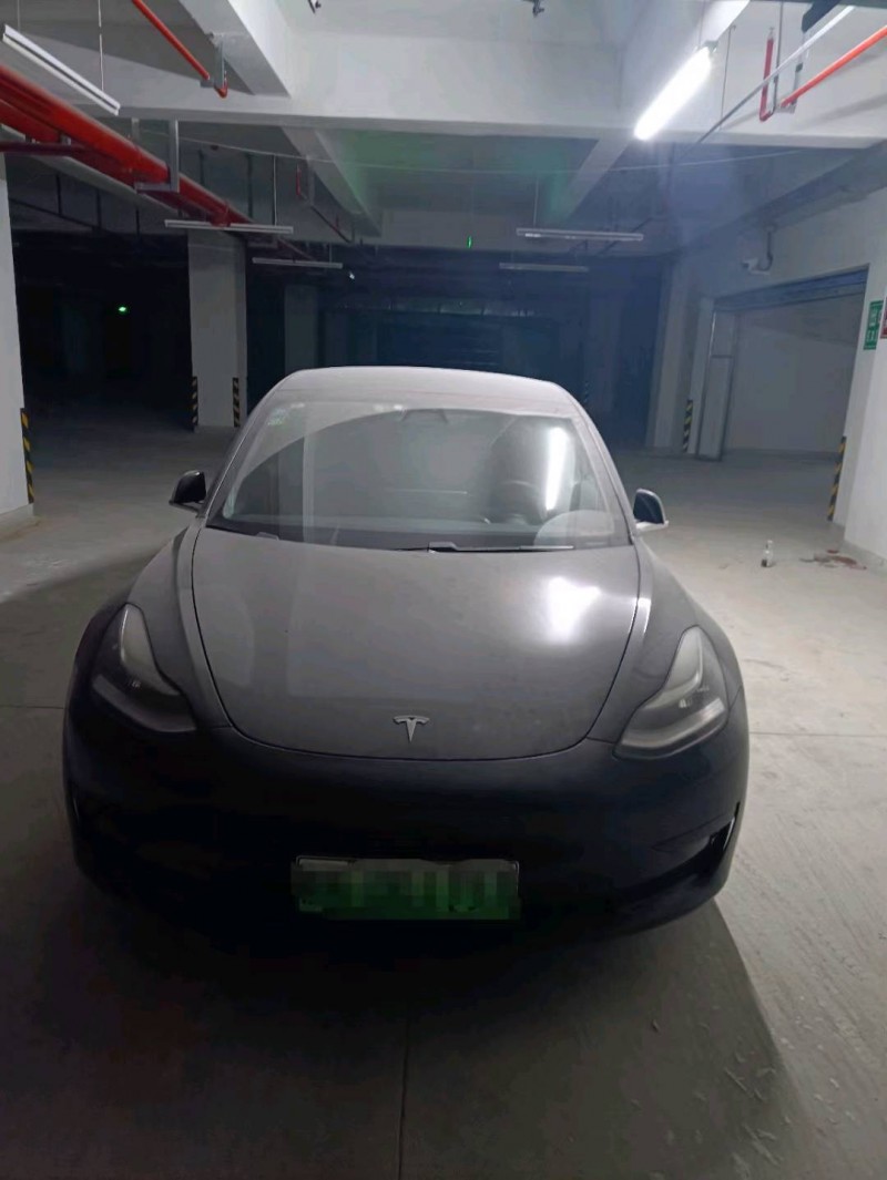 淄博20年特斯拉MODEL 31