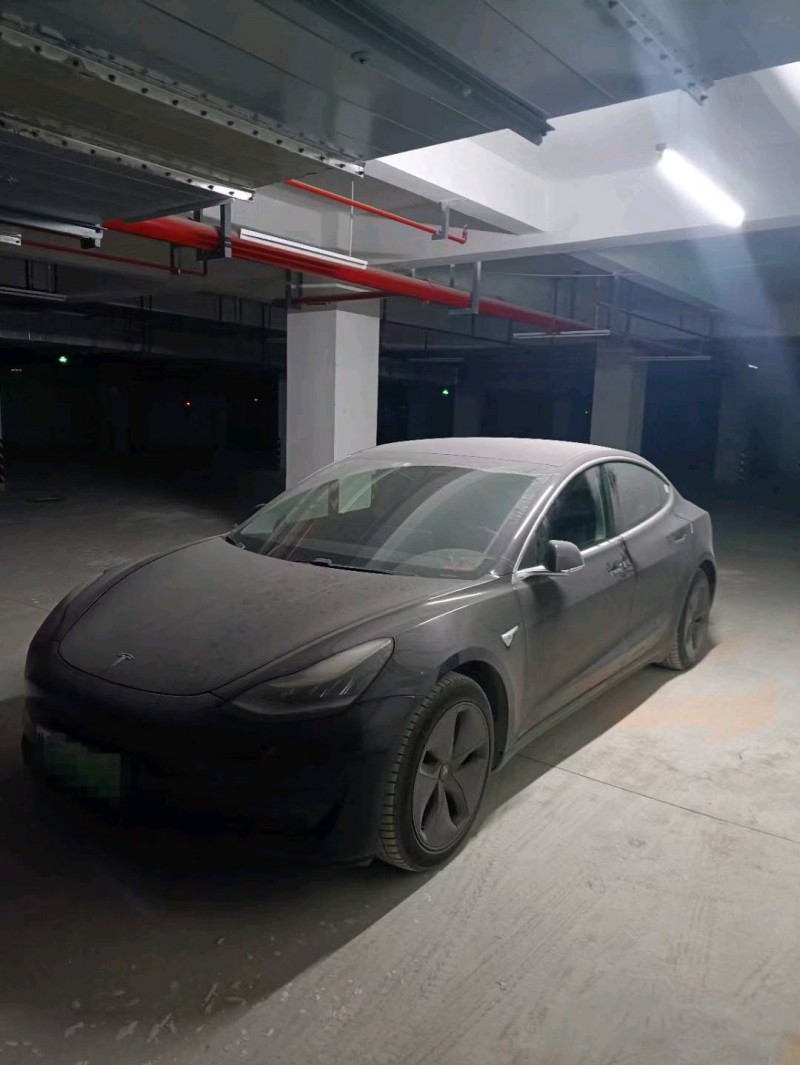 淄博20年特斯拉MODEL 32