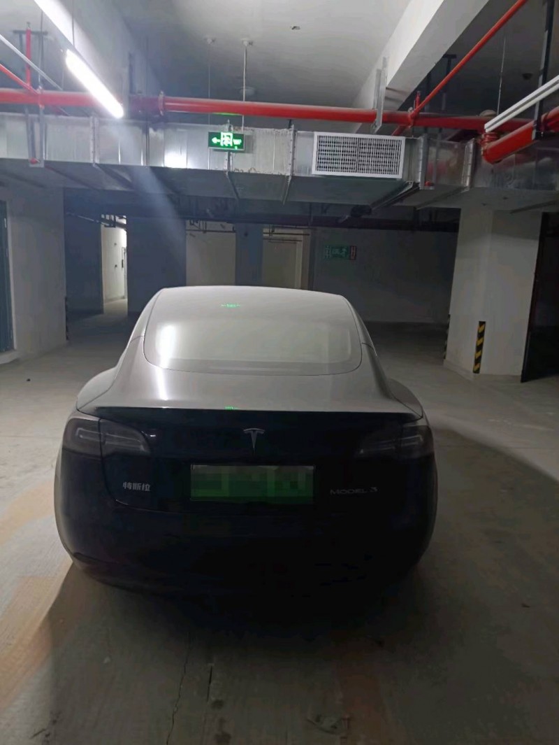淄博20年特斯拉MODEL 33