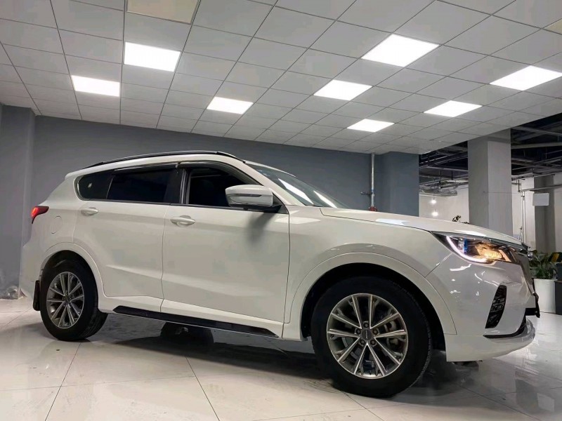 成都20年奇瑞捷途X703