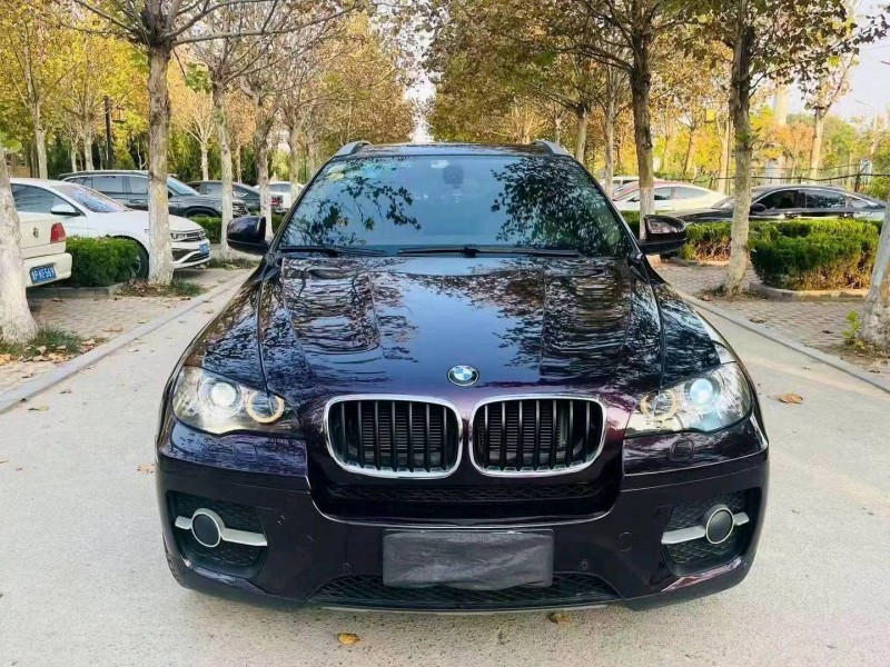 东营10年宝马X61