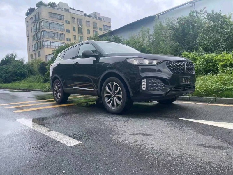 珠海20年长城汽车WEY VV61