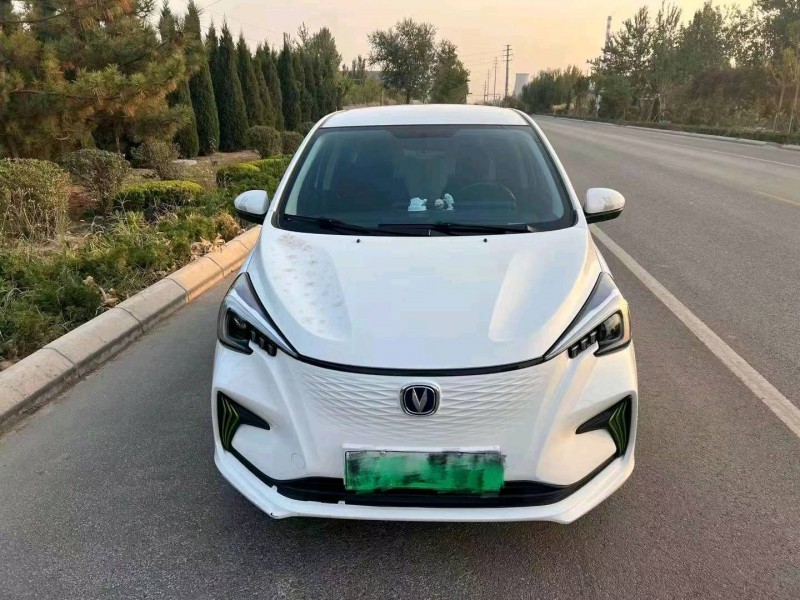 枣庄20年长安汽车奔奔mini-e1