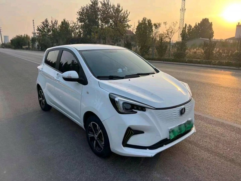 枣庄20年长安汽车奔奔mini-e2