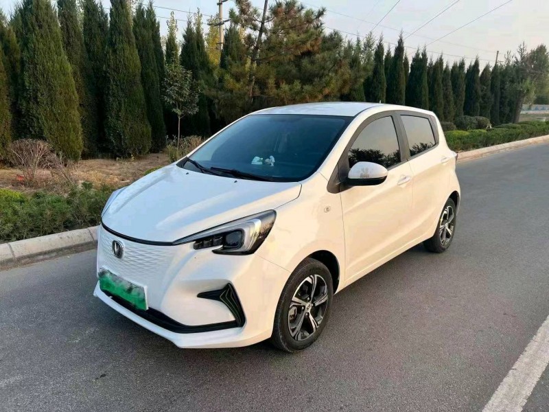 枣庄20年长安汽车奔奔mini-e3