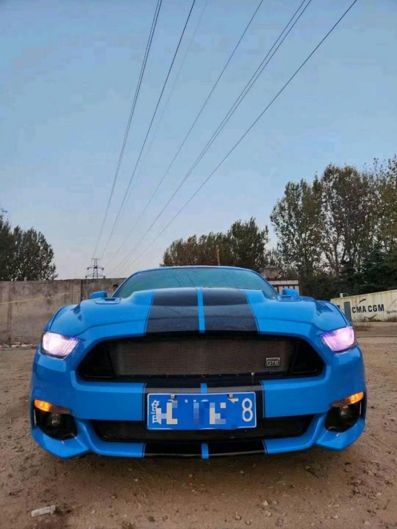 枣庄19年福特野马1