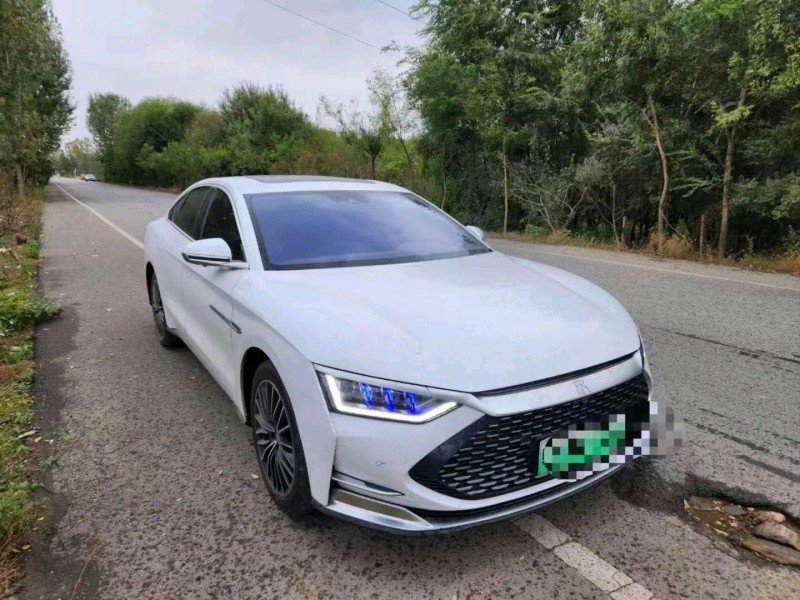 枣庄22年比亚迪汉DM2