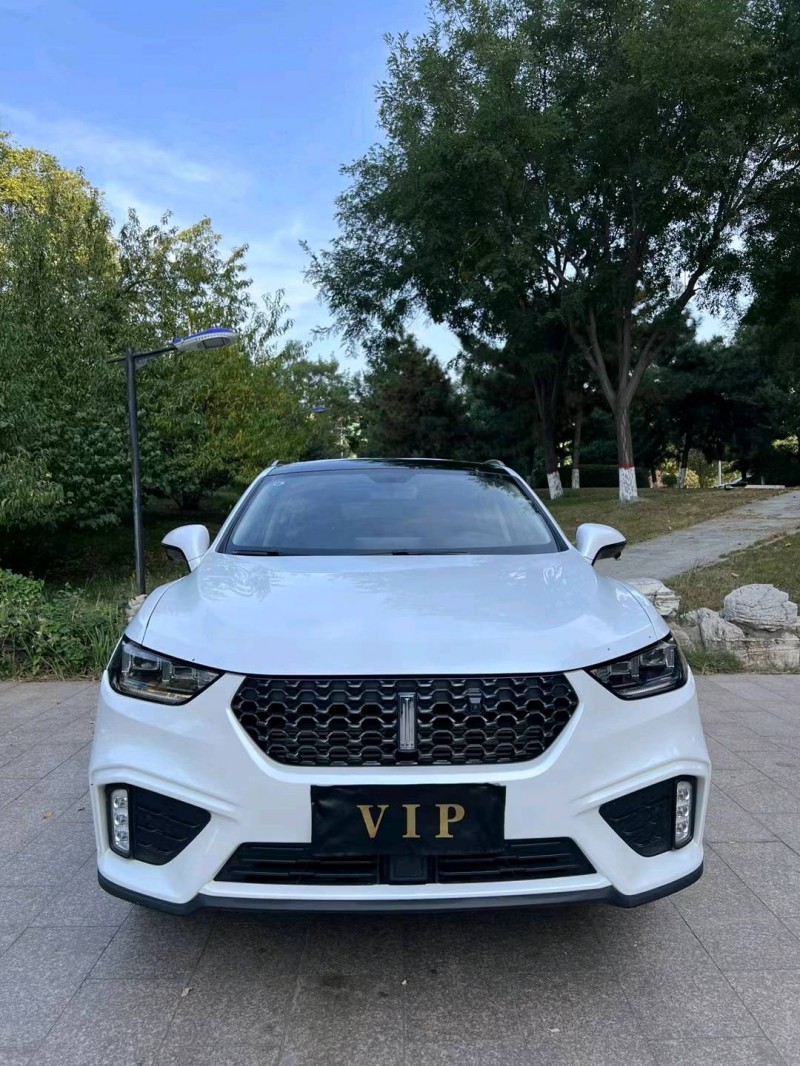 邢台20年长城汽车WEY VV51