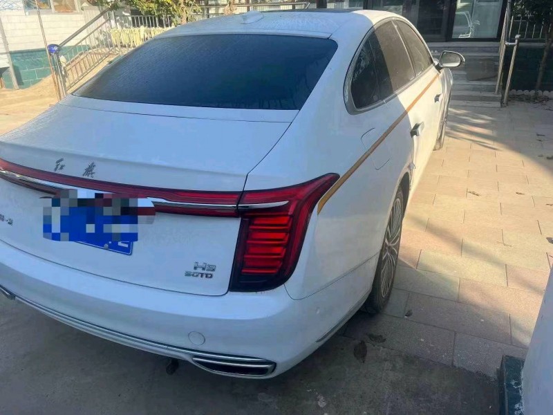 邯郸20年红旗H95