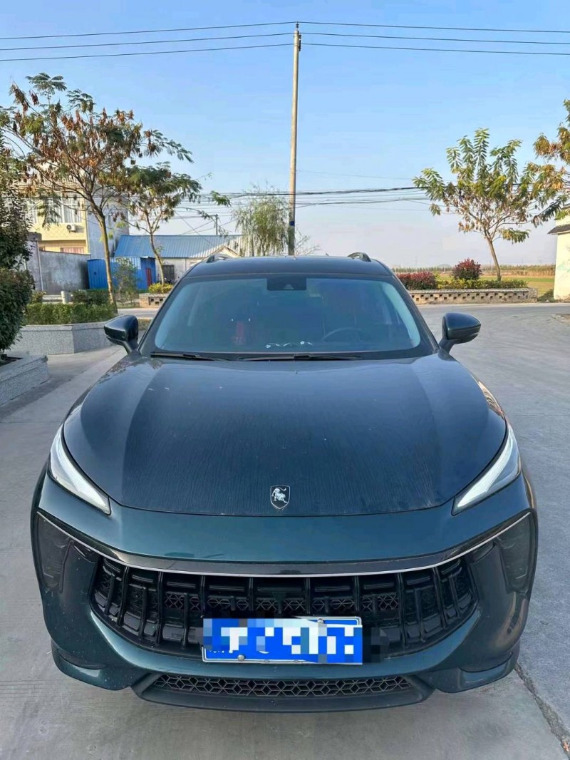 嘉兴22年东风T51