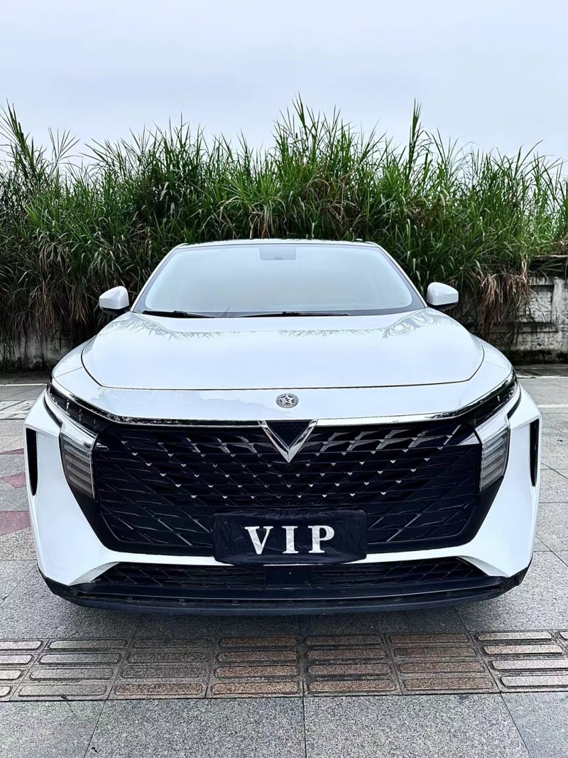 東莞22年啟辰大V1